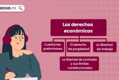 Qué son los derechos económicos? | LP