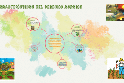 Características del Derecho Agrario by Marivanessa Carolina Agüero ...