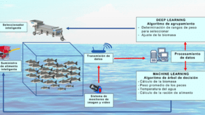 Acuicultura: Definición, Importancia y Aplicaciones en el Mundo ...