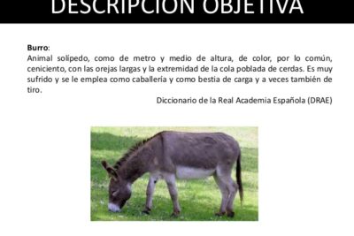 Definición y ejemplos de descripción objetiva