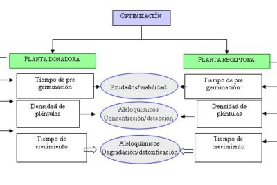 Actualización científica