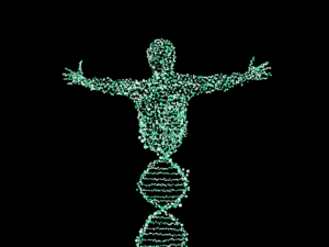 Determinismo - Qué es, en la biología, en la religión y en la economía