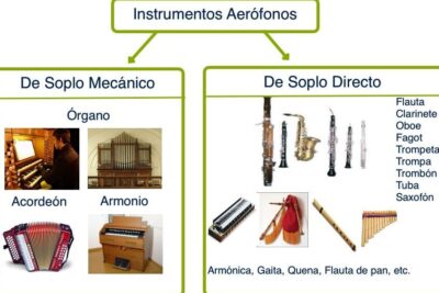 Clasificación de los instrumentos musicales según el sistema ...