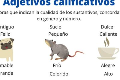 Adjetivos calificativos: definición, tipos, para qué sirven, ejemplos