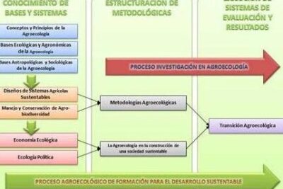 LA AGROECOLOGÍA: UN MARCO DE REFERENCIA PARA ENTENDER SUS PROCESOS ...