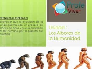 Unidad : Los Albores de la Humanidad - ppt video online descargar