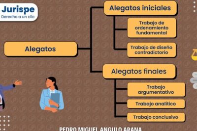 Alegato de apertura y alegato de clausura: características ...