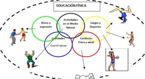 Contenidos de Educación Física | Mundo Entrenamiento