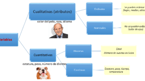 2.5 Variables discretas y continuas | Estadística Básica Edulcorada