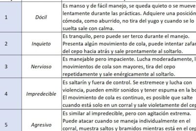 El impacto de la docilidad en el resultado económico – Valor Carne