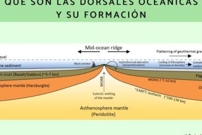 Qué son las dorsales oceánicas y su formación - Resumen