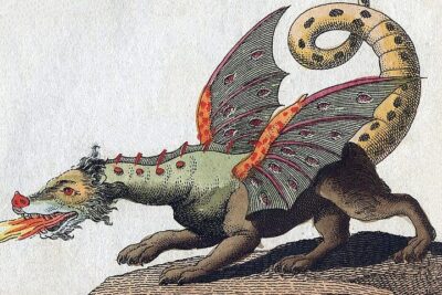 Dragón - Wikipedia, la enciclopedia libre