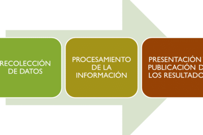 3.6.- Técnica de Procesamiento y Análisis de Datos | PROYECTOS ...