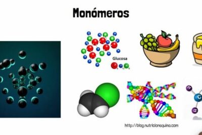 ▷ Diferencias de los elastomeros con otros polimeros ...