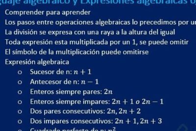 Lenguaje algebraico: expresiones algebraicas y ejemplos prácticos