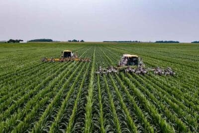 Qué es la agricultura intensiva? - Blog Lamastore