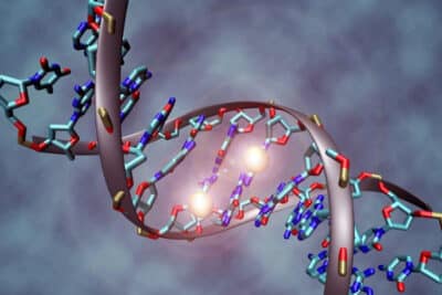 Qué es un alelo? Resumen de este concepto de la genética