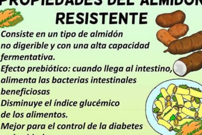 Propiedades del almidón resistente – Botanical-online