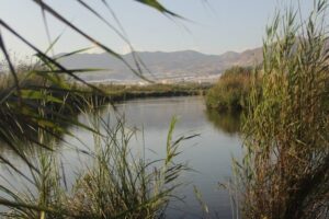 Albufera de Adra - Web oficial de turismo de Andalucía