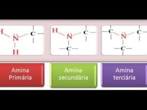 Aminas. Concepto y Ejemplos