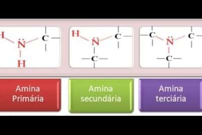 Aminas. Concepto y Ejemplos