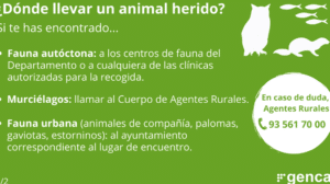 Centros de fauna salvaje y animales salvajes heridos. Medio ...