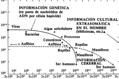 Los dragones del Edén - Carl Sagan