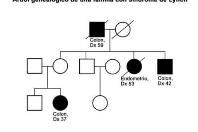 Definición de árbol genealógico - Diccionario de genética del NCI ...