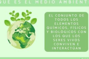 Qué es el medio ambiente - Definición y resumen