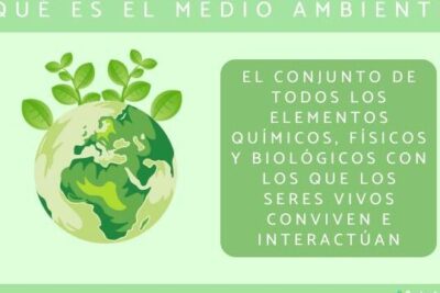 Qué es el medio ambiente - Definición y resumen