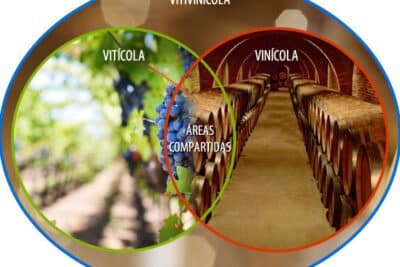 Cómo se dice vinícola o vitivinícola?