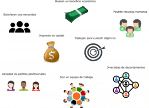 Características de una empresa: ¿Cuáles son?