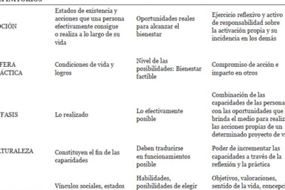 El Enfoque de las capacidades. Algunos elementos para su análisis.