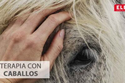 Terapia con caballos: qué es, tipo y beneficios | Escuela ELBS