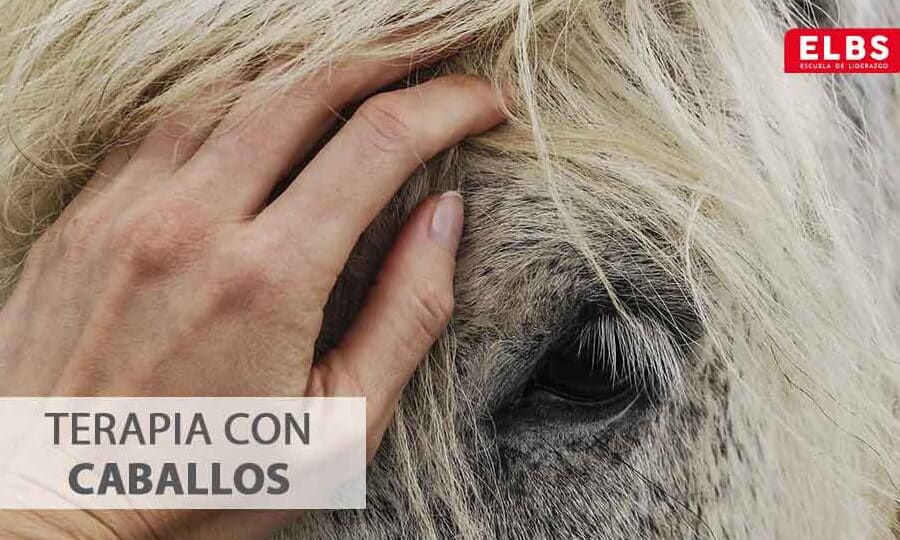 Terapia con caballos: qué es, tipo y beneficios | Escuela ELBS