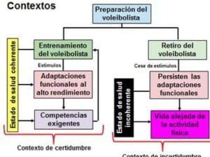 El deportista de alto rendimiento: apuntes para pensar en su ...