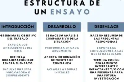 Cuál es la estructura de un ensayo - ¡Descubre cómo tiene que ser ...