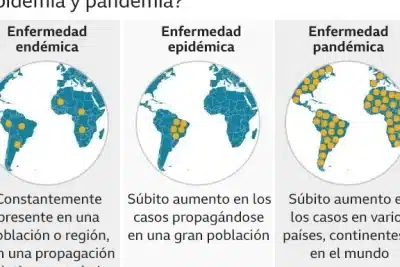 Covid: qué es una endemia, en qué se diferencia de la pandemia y ...