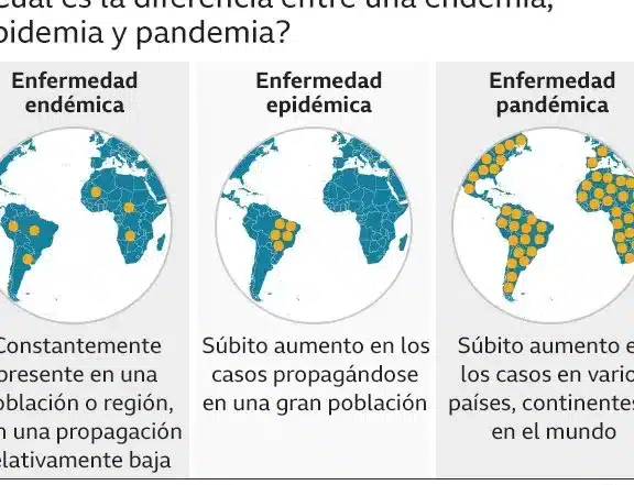 Covid: qué es una endemia, en qué se diferencia de la pandemia y ...