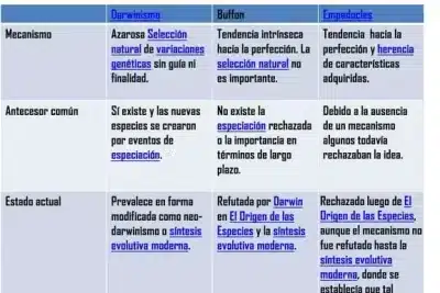 Diferencias Diseño Inteligente Y Evolucionismo: Cuadro Comparativo ...