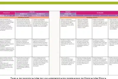 ORGANIZACIÓN Y ESTRUCTURA DE LOS PROGRAMAS DE ESTUDIO ...