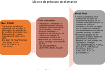 formación inicial docente – Prácticum y Prácticas Profesionales