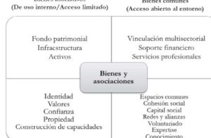 Las asociaciones y los bienes que generan. El debate conceptual y ...