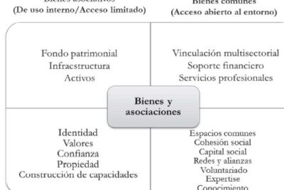 Las asociaciones y los bienes que generan. El debate conceptual y ...