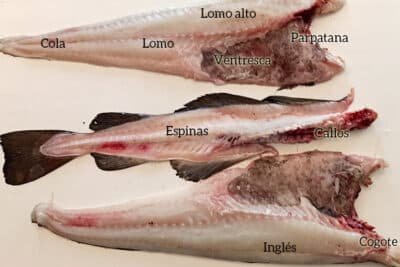 Despiece de un bacalao: Los mejores usos para cada una de sus ...