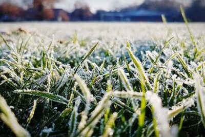 Invierno congelado: ¿Por qué y cómo se forma la temida escarcha?