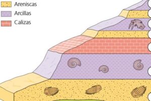 Estratigrafía y correlación estratigráfica en el campo de la Geología