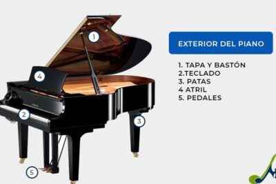 Todas las partes del piano de cola - Blog de Multison