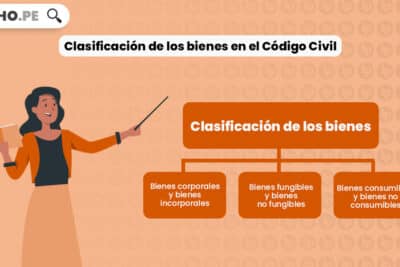 Clasificación de los bienes en el Código Civil. Bien explicado | LP