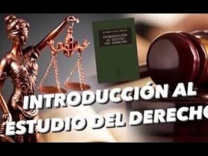 BILATERALIDAD DE LAS NORMAS JURÍDICAS | Clases de derecho